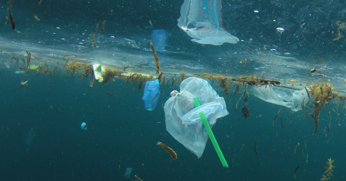 apf plastic straw in ocean A Perfect Foundation