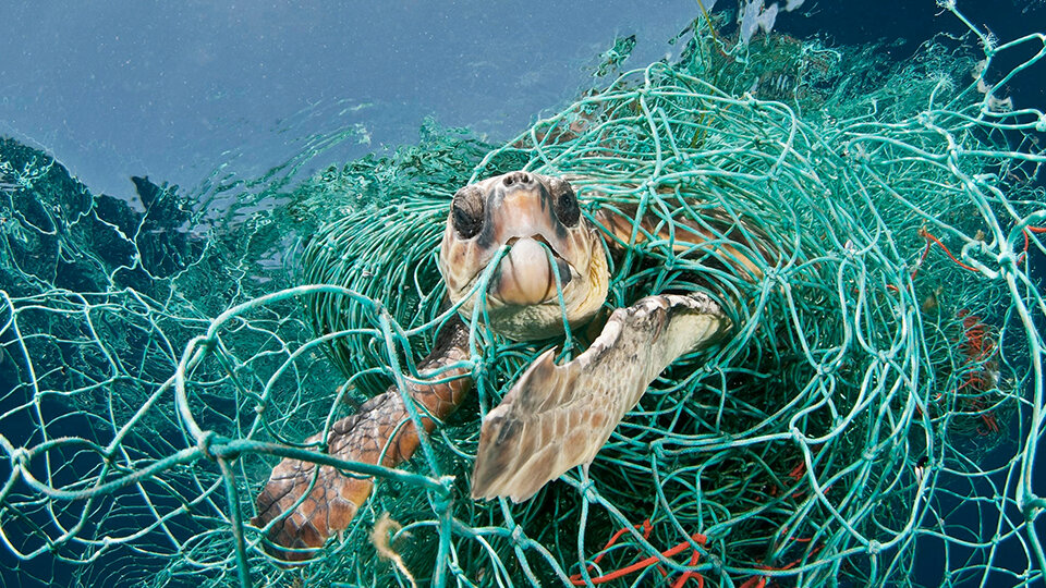 Parley Maldives Air Strategy