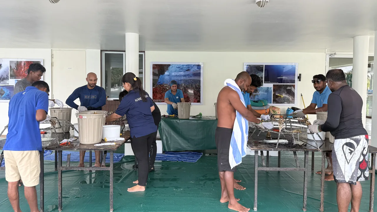 Coral Restoration Program Maldives reef restoration banner