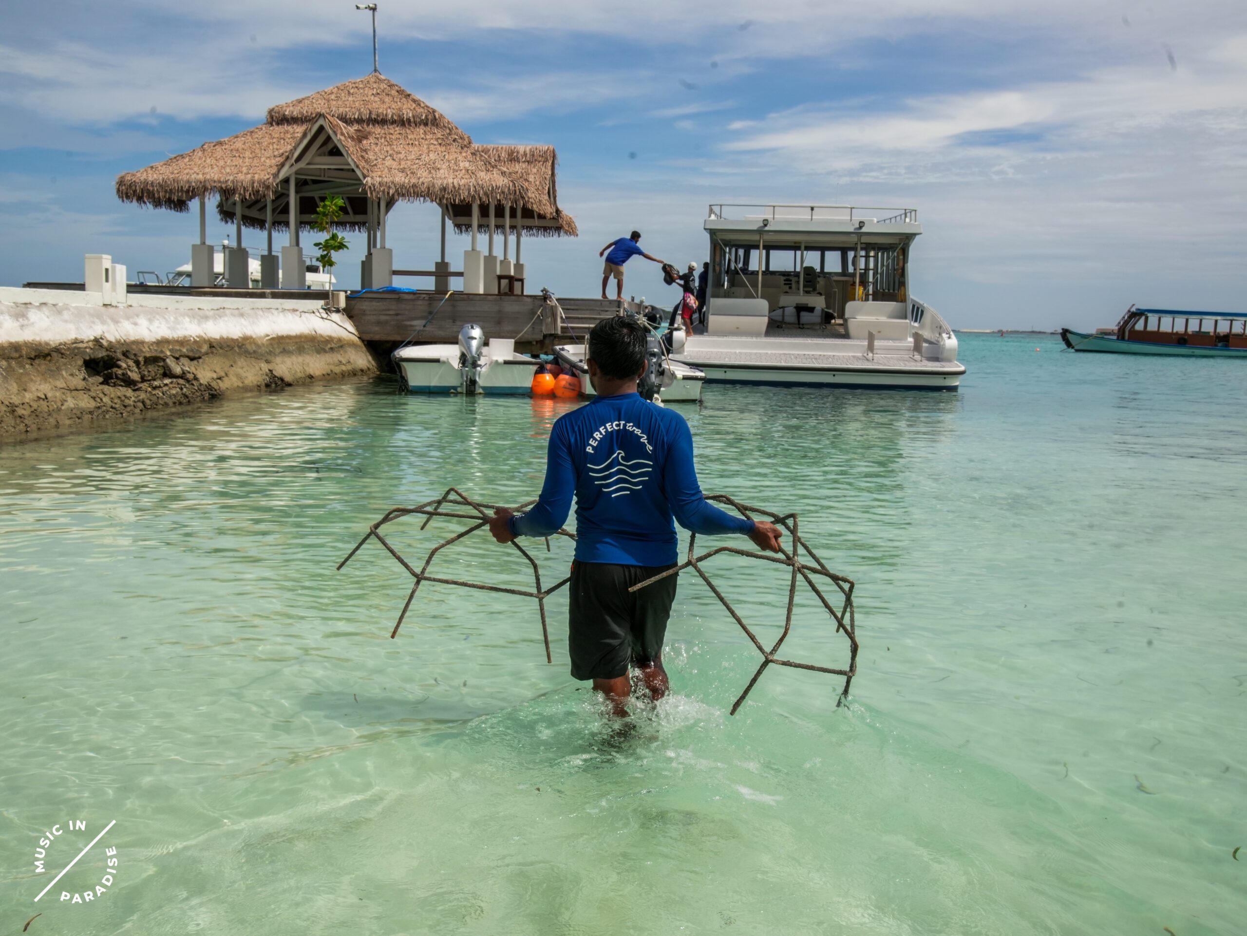Coral planting and reef restoration work
